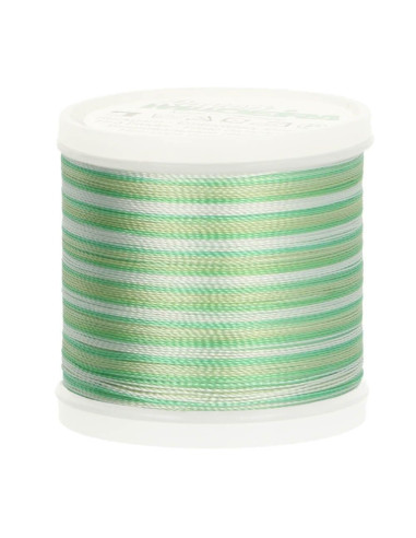 Fil à broder Madeira Rayon Ombré 200 m