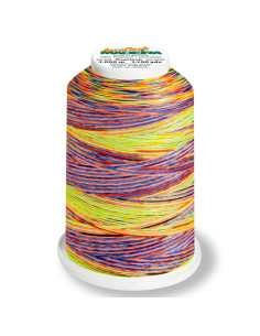 Cono de hilo de espuma Madeira Aeroflock Multicolor 1000 m 2