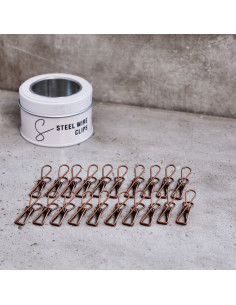 Caja de pinzas de metal - Bronce 2