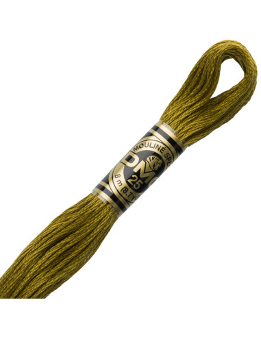 Fil à broder Mouliné DMC