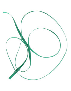 Bolduc para patronazgo - Verde