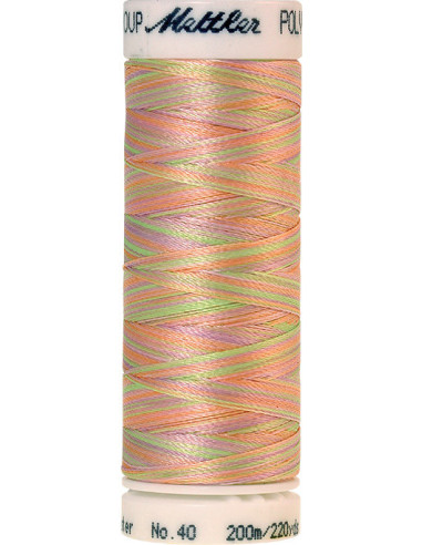 Fil à broder Poly sheen multicolor Mettler