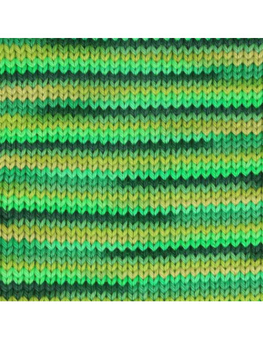Algodón Scheepjes Catona Chroma