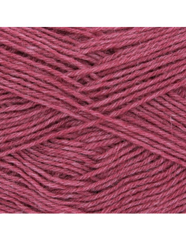 Laine à chaussettes Hot Socks uni 50 Gründl