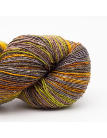 Laine à chaussettes Lazy Lion Kremke