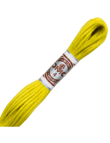 Fil retors mat canevas DMC