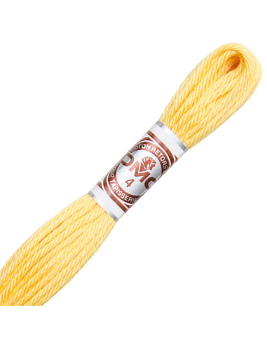 Fil retors mat DMC, fil à tapisserie pour canevas