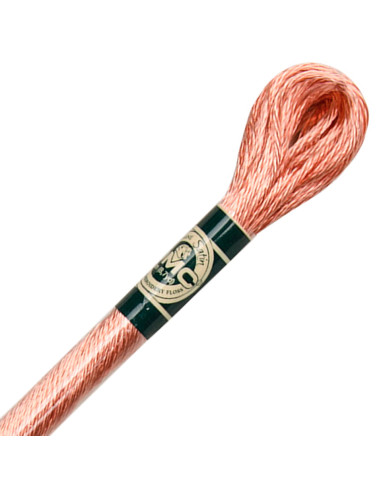 Fil à broder Mouliné satin DMC
