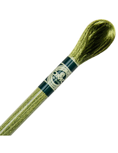 Fil à broder Mouliné satin DMC