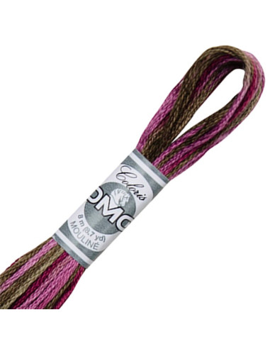 Fil à broder Mouliné DMC Coloris