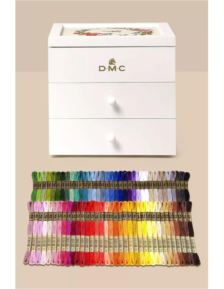 Caja de almacenamiento modular con 2 cajones DMC