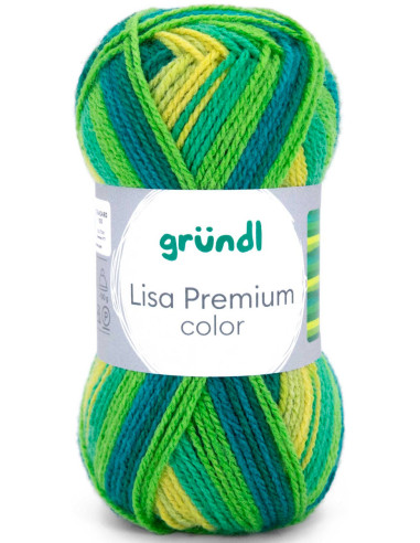 Fil à tricoter Lisa Premium color Gründl