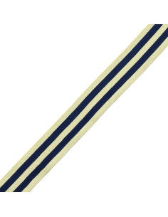 Galones de rayas metálicas - Azul marino y dorado 2