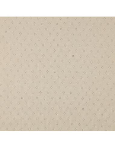 Tejido de punto jersey calado - Beige