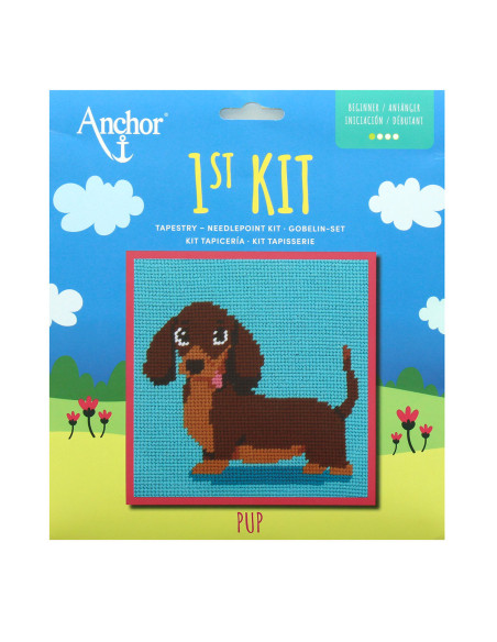 Mi primer kit de tapicería - Teckel