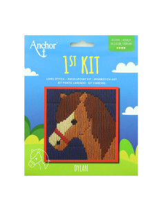 Mi primer kit de tapiz - Cabeza de caballo