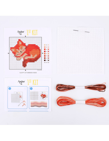 Mi primer kit de punto de cruz - Gato
