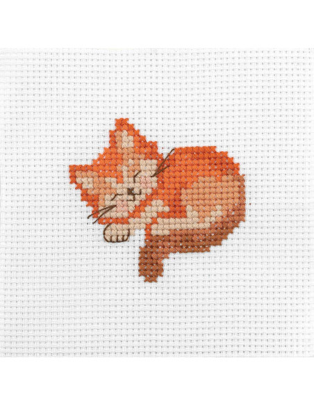 Mi primer kit de punto de cruz - Gato