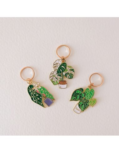 Conjunto de 3 marcadores de punto - Monstera