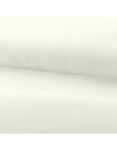 Tejido organza - Crudo