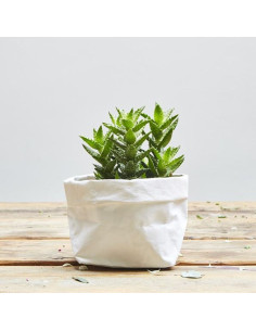 Rollo de papel vegano blanco - 50 x 100 cm 2