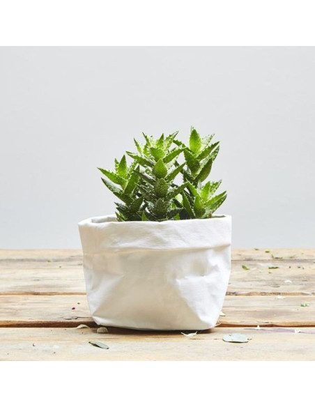 Rollo de papel vegano blanco - 50 x 100 cm