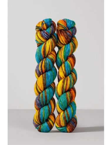 Conjunto de 2 madejas de lana para calcetines Echoes Fingering Gusto Wool