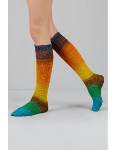 Conjunto de 2 madejas de lana para calcetines Echoes Fingering Gusto Wool 2