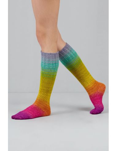 Conjunto de 2 madejas de lana para calcetines Echoes Fingering Gusto Wool