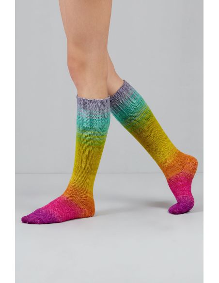 Conjunto de 2 madejas de lana para calcetines Echoes Fingering Gusto Wool