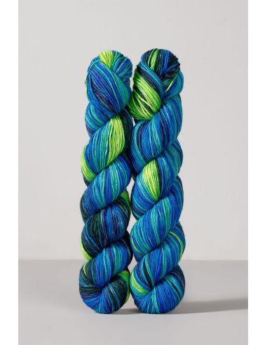 Conjunto de 2 madejas de lana para calcetines Echoes Fingering Gusto Wool