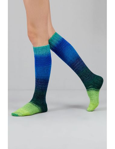Conjunto de 2 madejas de lana para calcetines Echoes Fingering Gusto Wool