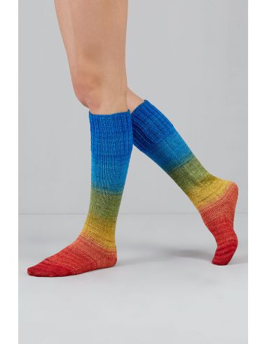 Conjunto de 2 madejas de lana para calcetines Echoes Fingering Gusto Wool