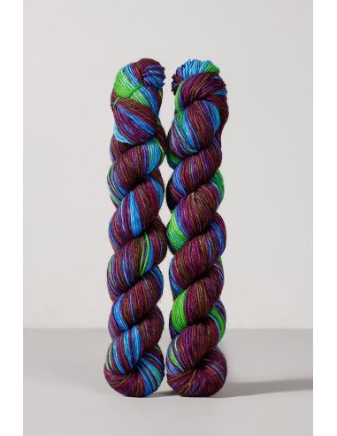 Conjunto de 2 madejas de lana para calcetines Echoes Fingering Gusto Wool