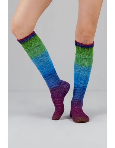 Conjunto de 2 madejas de lana para calcetines Echoes Fingering Gusto Wool