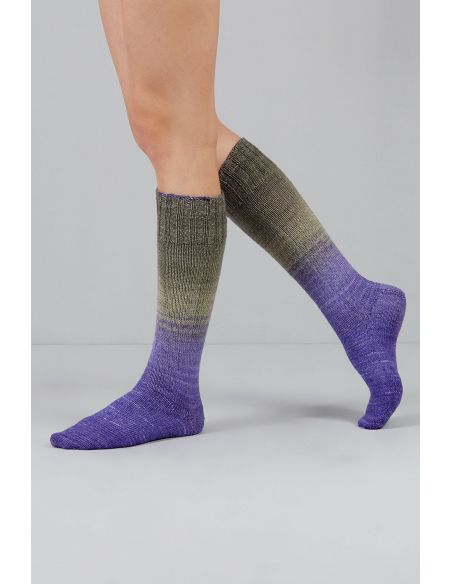 Conjunto de 2 madejas de lana para calcetines Echoes Fingering Gusto Wool