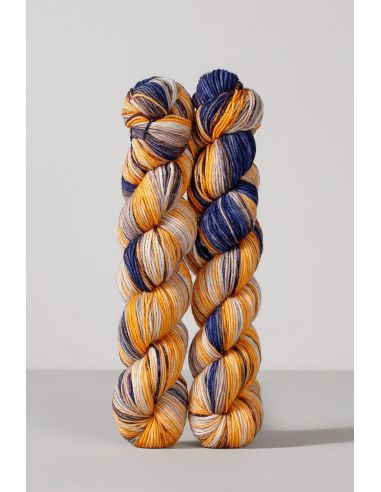 Conjunto de 2 madejas de lana para calcetines Echoes Fingering Gusto Wool