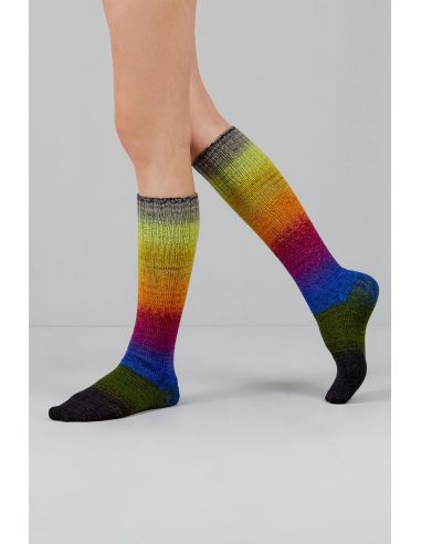 Conjunto de 2 madejas de lana para calcetines Echoes Fingering Gusto Wool