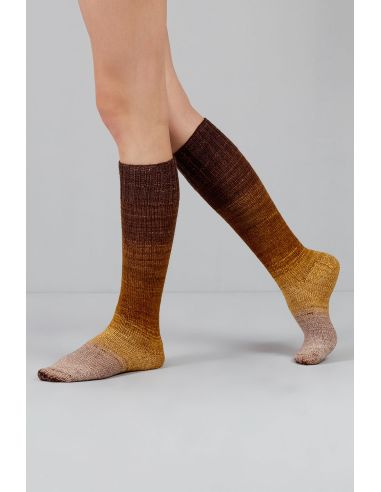 Conjunto de 2 madejas de lana para calcetines Echoes Fingering Gusto Wool