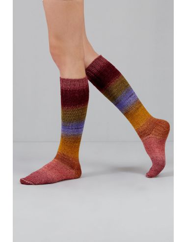 Conjunto de 2 madejas de lana para calcetines Echoes Fingering Gusto Wool