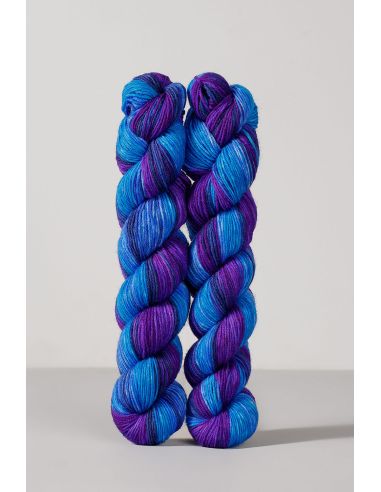 Conjunto de 2 madejas de lana para calcetines Echoes Fingering Gusto Wool