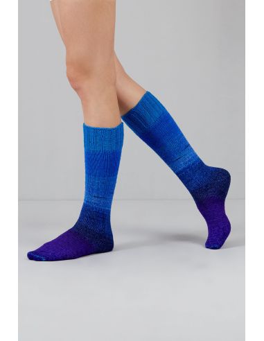 Conjunto de 2 madejas de lana para calcetines Echoes Fingering Gusto Wool