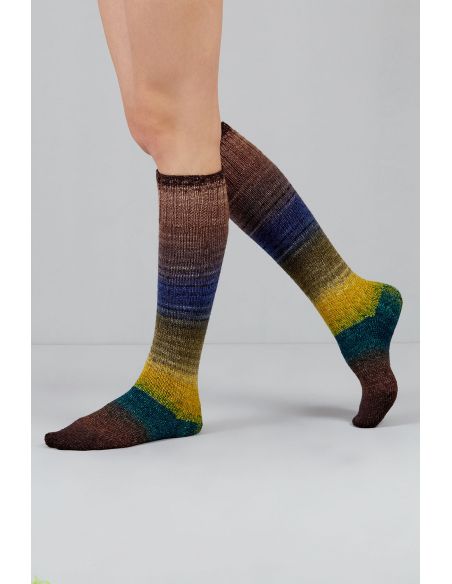 Conjunto de 2 madejas de lana para calcetines Echoes Fingering Gusto Wool