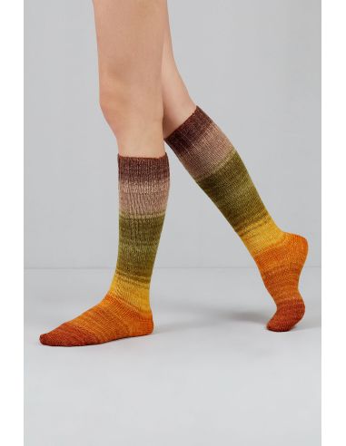 Conjunto de 2 madejas de lana para calcetines Echoes Fingering Gusto Wool