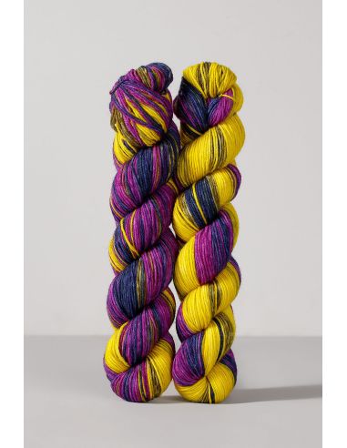 Conjunto de 2 madejas de lana para calcetines Echoes Fingering Gusto Wool