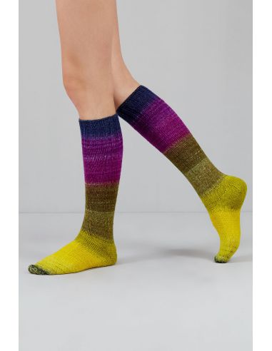 Conjunto de 2 madejas de lana para calcetines Echoes Fingering Gusto Wool