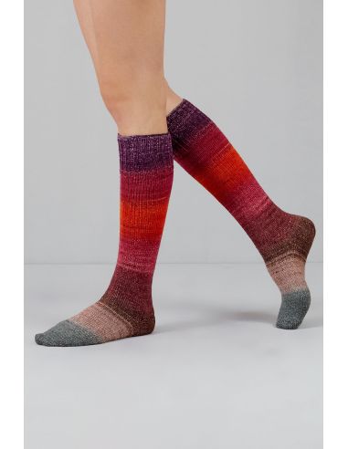 Conjunto de 2 madejas de lana para calcetines Echoes Fingering Gusto Wool