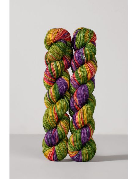 Conjunto de 2 madejas de lana para calcetines Echoes Fingering Gusto Wool