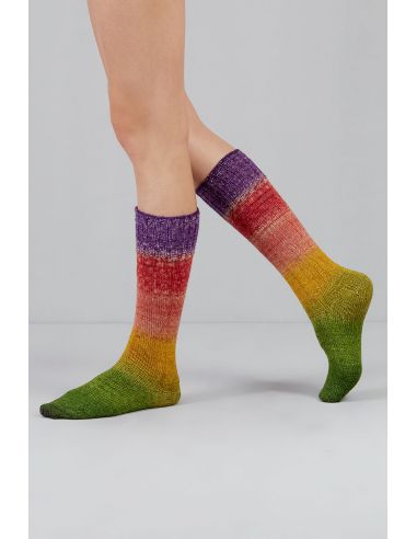 Conjunto de 2 madejas de lana para calcetines Echoes Fingering Gusto Wool