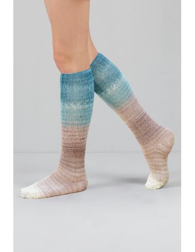 Conjunto de 2 madejas de lana para calcetines Echoes Fingering Gusto Wool
